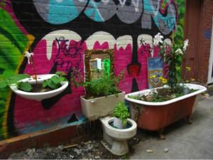 Figure 11: Plants and graffiti art in the Art Alley. Photograph by author.