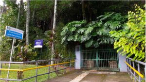 This photograph depicts a botanical garden located at the University of Costa Rica main campus, where I suspect morpho butterflies inhabit.