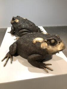 Two bronze toads in an art gallery